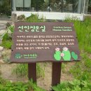천수봉 티스토리