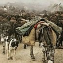 미들농장 이미지