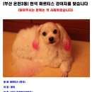 온천3 파출소 이미지