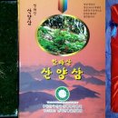 제주영실 표고버섯