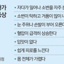 2024년 4월 첫번째 신문에 나온 알아두면 좋을 이야기들 이미지