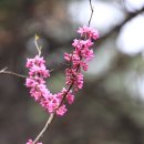 (주)길동무여행