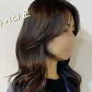 바이다교(by다교)