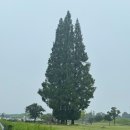 이마트24 신라스테이점 | [경북/경주] 신라레거시호텔, 깔끔하고 쾌적한 황리단길 근처 경주 비즈니스 호텔 숙소 추천