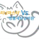 명품 마스터 크리닝 이미지