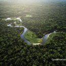 [브라질] 아마존에서 COP30의 의의=브라질과 일본기업에 대한 전망=CI가 상의소에서 세미나 이미지