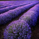 갤러리아피부과의원 이미지