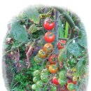 어답산민박 이미지