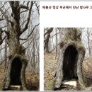 매봉산 정상 이미지