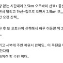 허스키 학대 논란 이미지