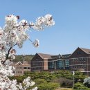 한국침례신학대학교 신학대학원 이미지