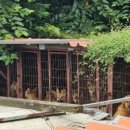 해병농장 이미지