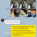 리치켄넬 이미지