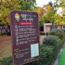 화정17호(별빛 어린이공원) 이미지