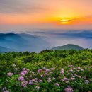 지리산 이미지