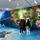 영도제일중학교 이미지