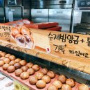 베이커리밤마을 - 공주시 백미고을길 5-9 | 베이커리밤마을