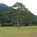 불목농장 이미지