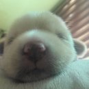 투다리(익산점) | 블로그가밀렸다는걸잊고살아가는삶이좋았던시절이있었다