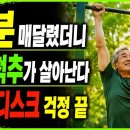 "철봉에 딱 1분만 매달려 보세요" 뇌와 척추가 살아나는 기적의 악력 운동법-백작가TV 어른심리통 이미지