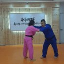 Pedagogy 박사유도관 이미지