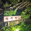 제주락 이미지