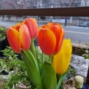 사하구 치매안심센터(분소) 이미지