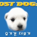 권선동 991-9 이미지