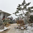 남이섬 하늘사랑 이미지