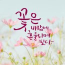손끝꽃 네이버블로그