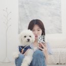마곡사진관 | 강아지랑 생일 기념 동반 촬영한 마곡 사진관 후기