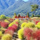 황산공원 이미지