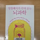 (주)수정환경 노동조합 | [이인아의 『멍청해지기 전에 읽는 뇌과학』을 읽다 4편] 뇌의 중심이 잡혀 있는 삶