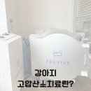 한걸음더 재활한방 동물병원 이미지