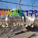 대명항 1로 이미지