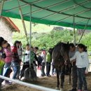 태화초교 이미지