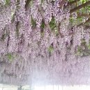 솔비디오 이미지