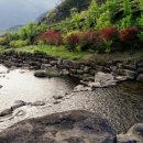 동화펜션 이미지