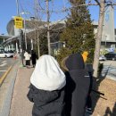 꾸숑 | 초딩이랑 방문한 킨텍스 서울코믹월드 후기 주차정보 및 혼잡도 공유 feat.귀멸의칼날 코스프레