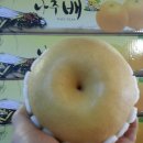 유림청과 이미지