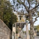 연우네민박 이미지