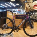 라파 대리점 이미지