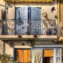 숲속의맑은향기 이미지