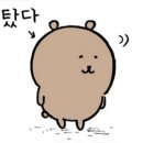 김피부 | 분당 미금역 몰티브 태닝 화이트 태닝 솔직 후기! (feat.장채김 피부 리셋 버튼 )