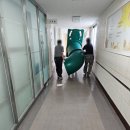 예일초등학교 티스토리