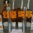 동대문 서울 달빛 | 2025 동대문구 맥주축제에서 생맥주마셩 찐솔직후기