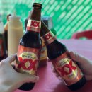 라플로레스타 이미지