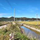 신도3리 이미지