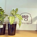 강동-길동-67 이미지