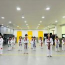 베스트태권도장 이미지